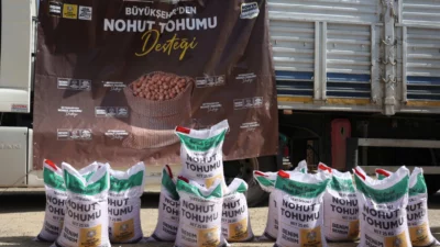 Konya Büyükşehir Belediyesi, az su isteyen ve iklim şartlarına daha