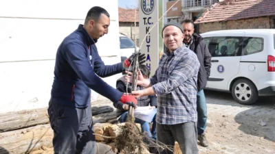 Kütahya Belediyesi tarafından düzenlenen program kapsamında vatandaşlara kiraz fidanı dağıtıldı.