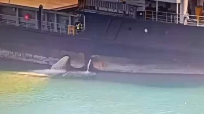 Mersin Büyükşehir Belediye Başkanı Vahap Seçer, Mersin Limanı’nda kirli balast