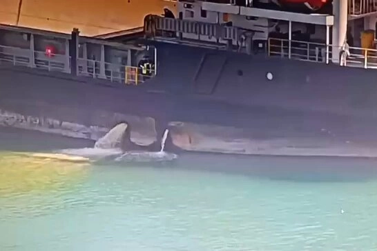 Mersin Büyükşehir Belediye Başkanı Vahap Seçer, Mersin Limanı’nda kirli balast