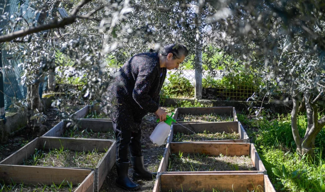 İzmir Büyükşehir Belediyesi Meslek Fabrikası’nın Tıbbi Aromatik Bitki Yetiştiriciliği kursuna