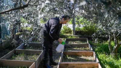 İzmir Büyükşehir Belediyesi Meslek Fabrikası’nın Tıbbi Aromatik Bitki Yetiştiriciliği kursuna