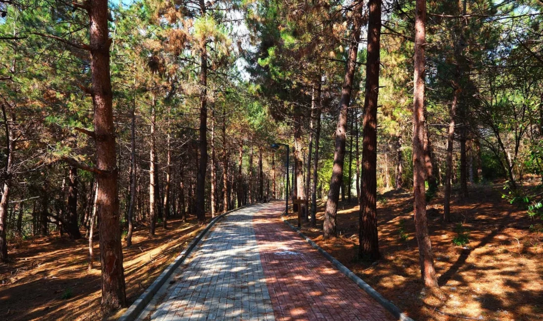 Sakarya Büyükşehir Belediyesi, ülkemiz bahara ‘merhaba’ derken şehirde bir ilk