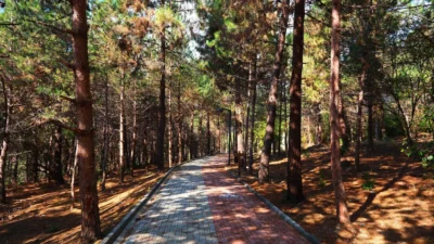 Sakarya Büyükşehir Belediyesi, ülkemiz bahara ‘merhaba’ derken şehirde bir ilk