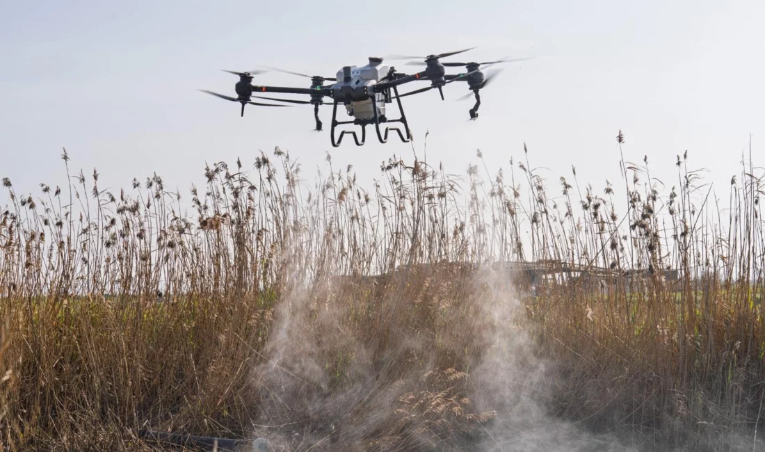 İzmir Büyükşehir Belediyesi, kent genelinde sivrisinek başta olmak üzere hastalık