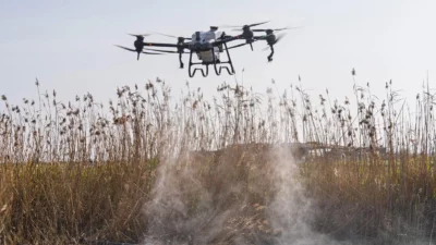 İzmir Büyükşehir Belediyesi, kent genelinde sivrisinek başta olmak üzere hastalık