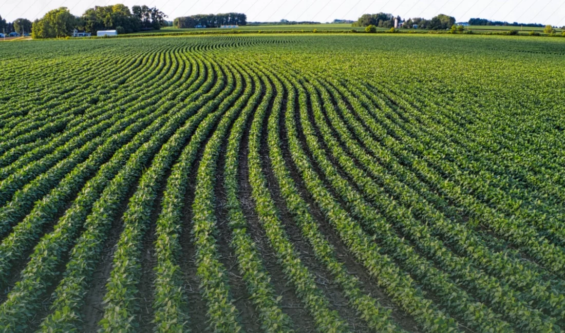 1 Ocak 2026 itibarıyla yürürlüğe giren Cumhurbaşkanı Kararı ile işlenmeyen