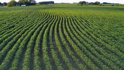 1 Ocak 2026 itibarıyla yürürlüğe giren Cumhurbaşkanı Kararı ile işlenmeyen