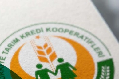 Tarım Kredi Kooperatifleri, son dönemde gübre sektörüne ilişkin yaşanan gelişmeler