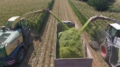 Kazım Karabekir Tarım İşletmesi Müdürlüğü, 2026 yılı için 1.500 ton