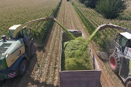 Kazım Karabekir Tarım İşletmesi Müdürlüğü, 2026 yılı için 1.500 ton