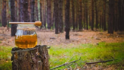 Bal üretiminde dünya ikincisi olan Türkiye, çam balında ise dünya