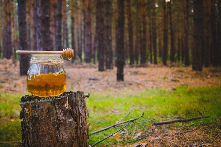 Bal üretiminde dünya ikincisi olan Türkiye, çam balında ise dünya