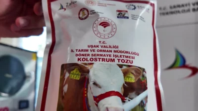 Zafer Kalkınma Ajansı desteğiyle hayvancılıkta yenilikçi bir adım atıldı. Türkiye’de