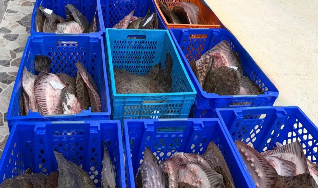 İstanbul'da İl Tarım ve Orman Müdürlüğü ile Sahil Güvenlik Komutanlığı