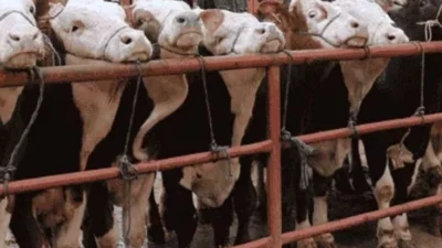 Balıkesir İl Tarım ve Orman Müdürlüğü, bazı basın yayın organları