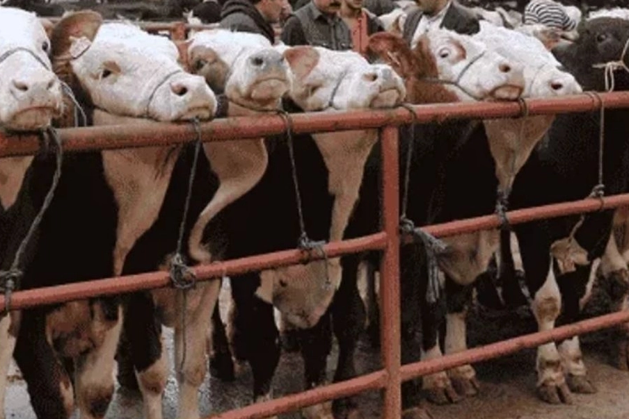 Balıkesir İl Tarım ve Orman Müdürlüğü, bazı basın yayın organları