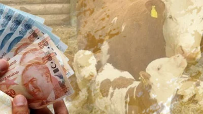 Tarım ve Orman Bakanı İbrahim Yumaklı, tarımsal destek ödemelerinin çiftçilerin