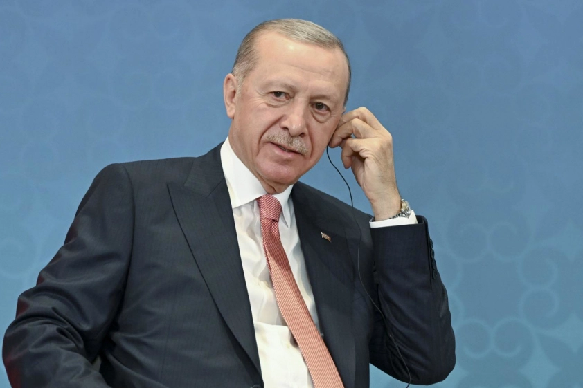 Cumhurbaşkanı Recep Tayyip Erdoğan, Macaristan Seçilmiş Başbakanı Peter Magyar ile
