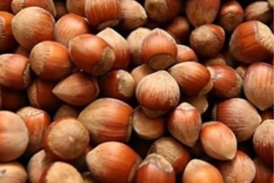 Düzce'de Akçakoca Ziraat Odası Başkanı Kadir Mutioğlu, fındık fiyatlarındaki düşüşe