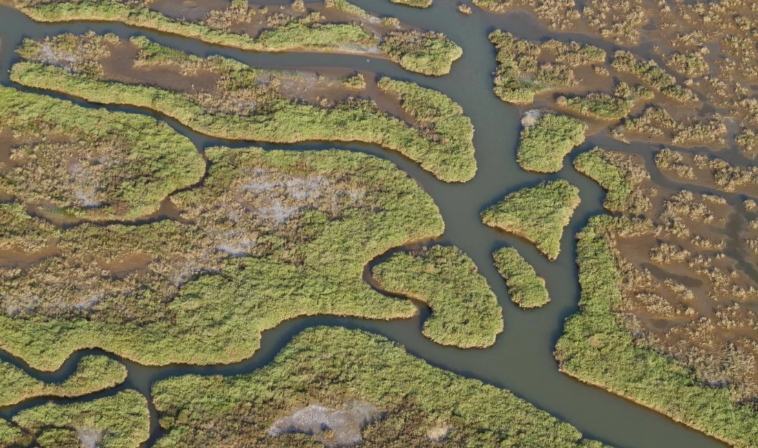 İzmir ve Manisa’nın ortak hazırladığı bilimsel rapor, Gediz Nehri’ndeki kirliliğin