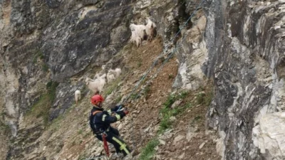 Kocaeli Büyükşehir İtfaiyesi, sadece yangınlara müdahale etmekle kalmıyor, aynı zamanda