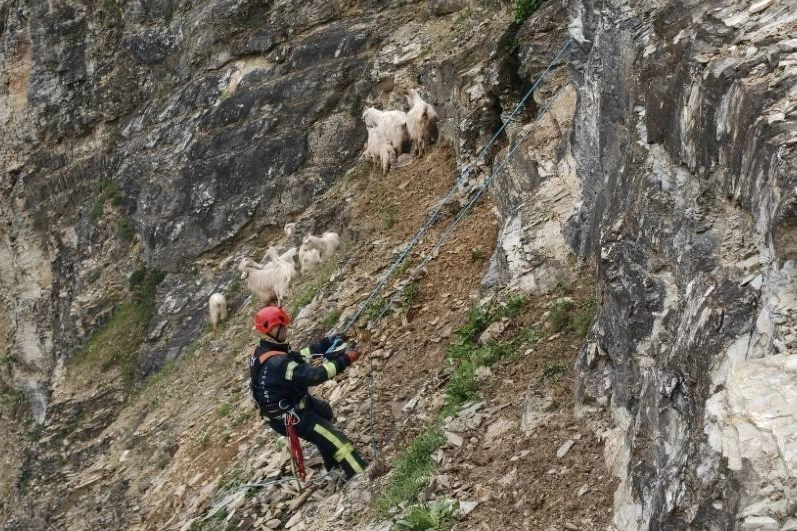 Kocaeli Büyükşehir İtfaiyesi, sadece yangınlara müdahale etmekle kalmıyor, aynı zamanda
