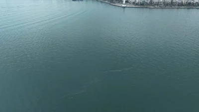 İzmir Büyükşehir Belediyesi’nin dron destekli rutin taramalarında, İzmir Körfezi’nde Karşıyaka
