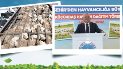 Kayseri Büyükşehir Belediye Başkanı Dr. Memduh Büyükkılıç’ın kırsalda vizyoner projesi