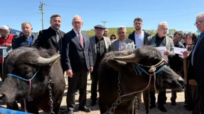 Kocaeli Büyükşehir Belediyesi’nin tarım ve hayvancılığa yönelik projeleri her geçen