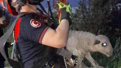 İzmir’de 20 metrelik kuyuya düşen kuzu, itfaiye ekiplerinin titiz ve