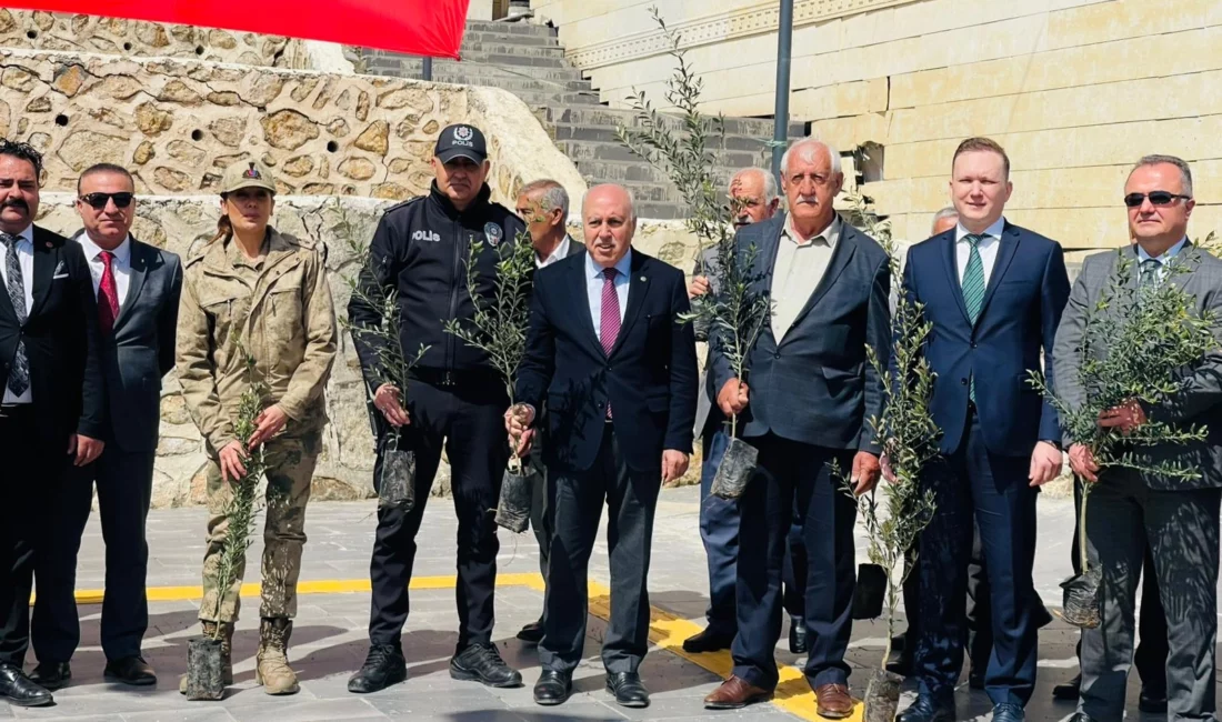 Mardin Yeşilli Belediyesi, tarımı desteklemek ve ilçeyi daha yeşil hale