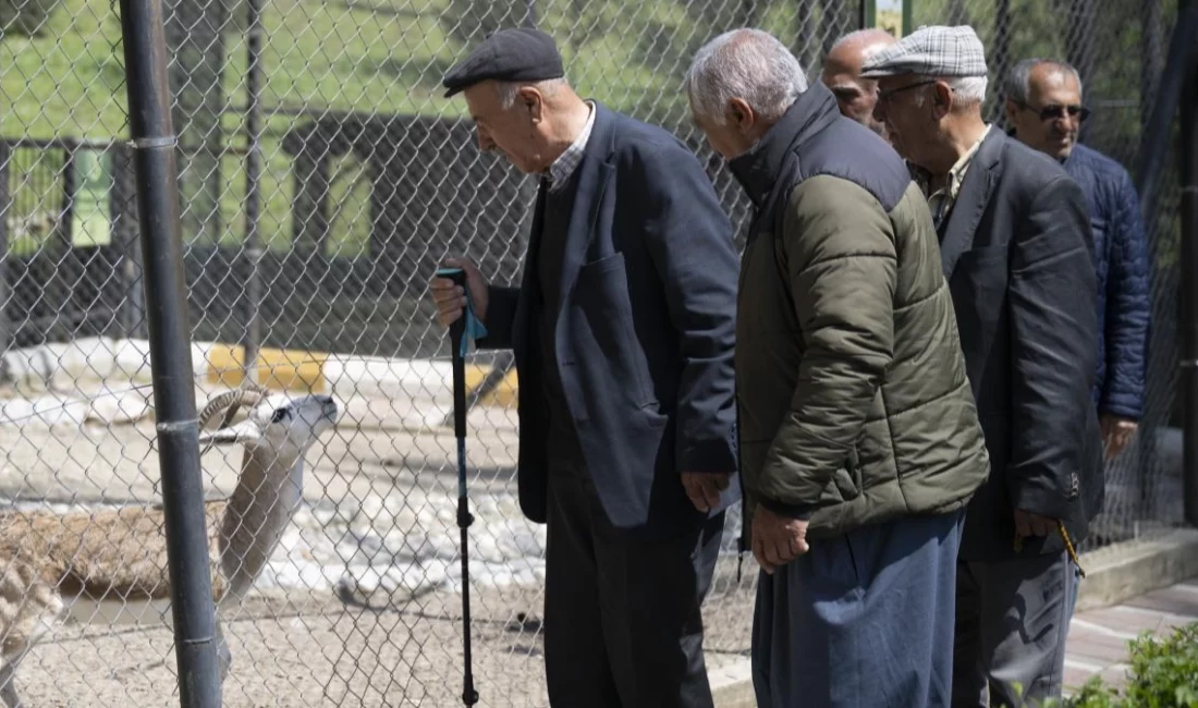 Mersin Büyükşehir Belediyesi, sosyal belediyecilik anlayışı kapsamında emeklilerin sosyal hayata