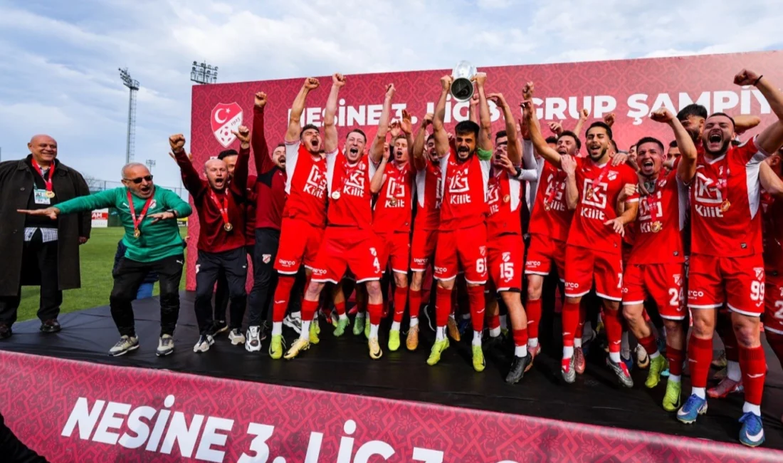 Türkiye Futbol Federasyonu, Nesine 3. Lig 3. Grup şampiyonu Sebat