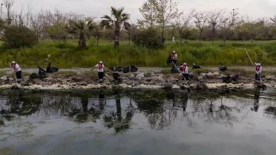 İzmir Büyükşehir Belediyesi ekipleri, Körfez’de görülen deniz marullarının temizlenmesi için