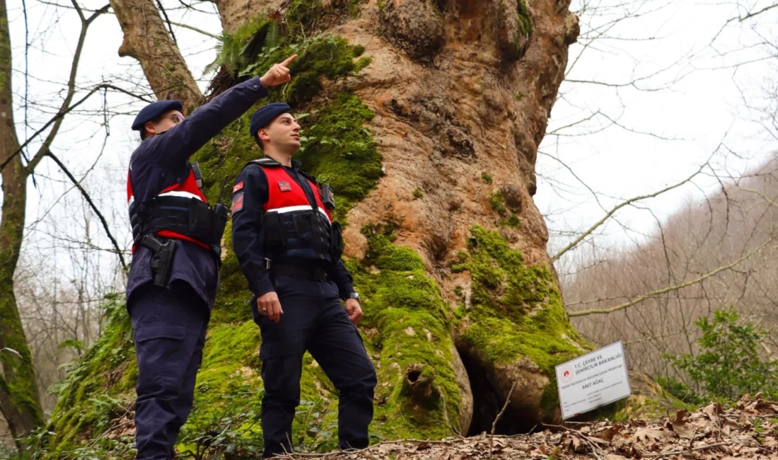 Yalova İl Jandarma Komutanlığı ekipleri, güvenli turizm kapsamında doğa rotalarında