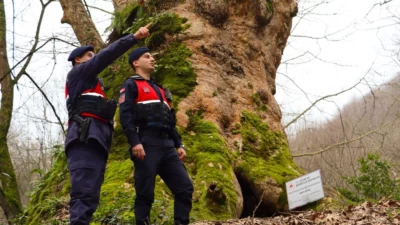 Yalova İl Jandarma Komutanlığı ekipleri, güvenli turizm kapsamında doğa rotalarında