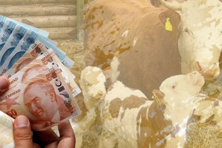 Tarım ve Orman Bakanı İbrahim Yumaklı, tarımsal üretimi desteklemek amacıyla