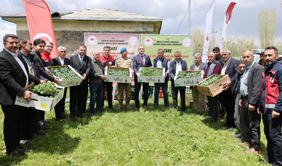 Ağrı Valisi Önder Bozkurt, Aşkale Köyü’nde düzenlenen fide dağıtım programında