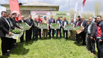 Ağrı Valisi Önder Bozkurt, Aşkale Köyü’nde düzenlenen fide dağıtım programında