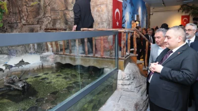 Ankara Keçiören Belediyesi tarafından estetik ve teknik dokunuşlarla standartları yükseltilerek yenilenen