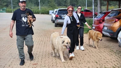 Antalya Büyükşehir Belediyesi Sokak Hayvanları Geçici Bakımevi ve Rehabilitasyon Merkezi’nde