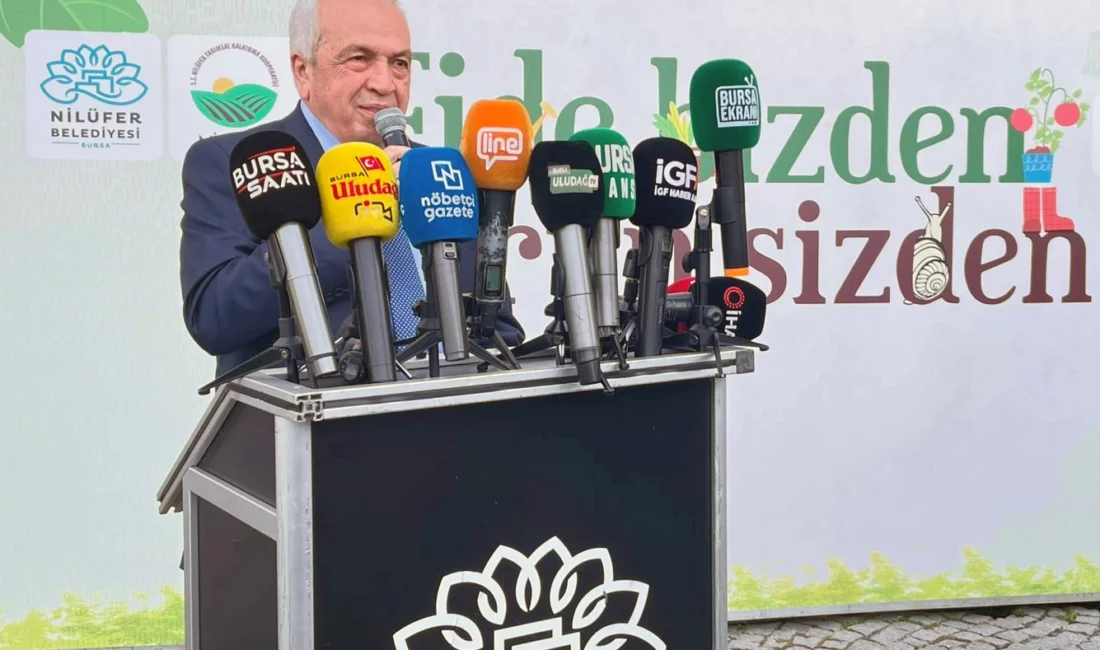 Bursa'da Nilüfer Belediyesi, yerel tarımı desteklemek amacıyla "Fide bizden, ürün