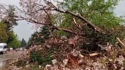 Gaziantep Büyükşehir Belediye Başkanı Fatma Şahin, kentte etkili olan şiddetli