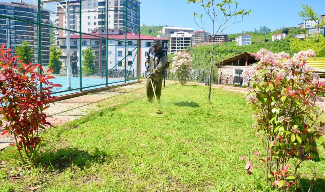 Giresun Belediyesi, yaz mevsiminin başlamasıyla birlikte kent genelindeki çalışmalarına hız