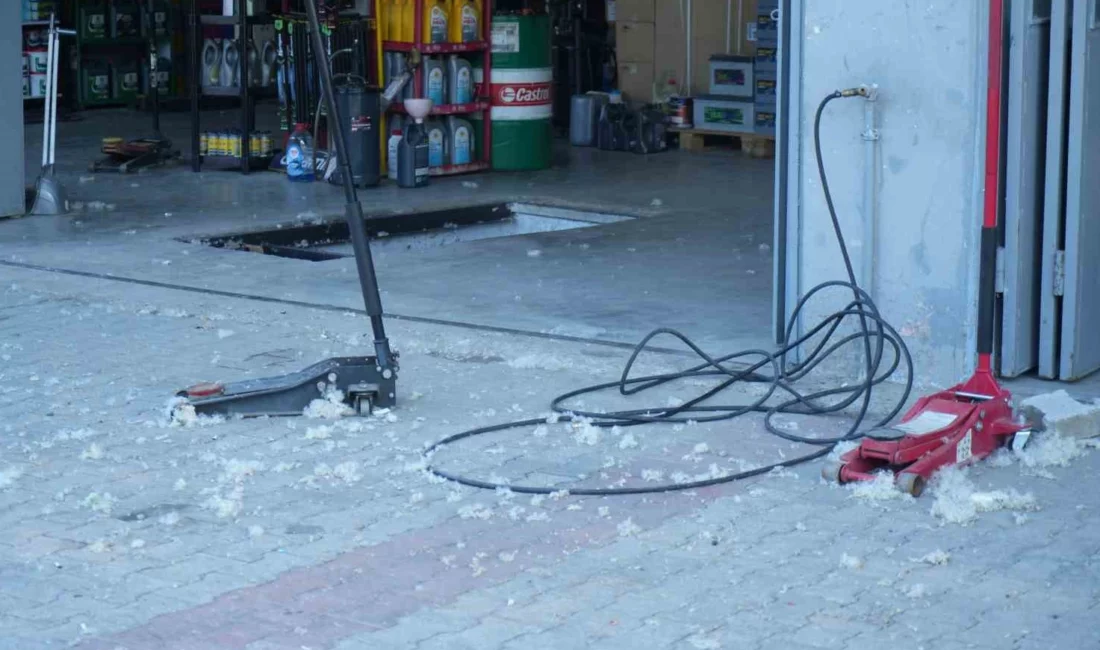Ağrı’da kavak ağaçlarından yayılan ve halk arasında kavak poleni olarak