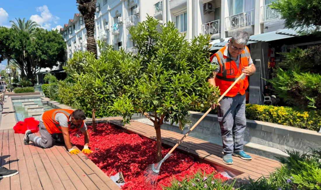 Antalya Büyükşehir Belediyesi Park ve Bahçeler ekipleri, Kemer Liman Caddesi’nde