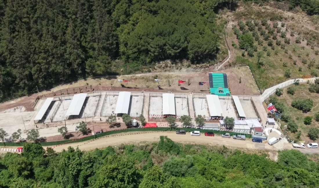 Bursa'da Gemlik Belediyesi tarafından hayata geçirilen “Sahipsiz Hayvan Bakımevi, Rehabilitasyon