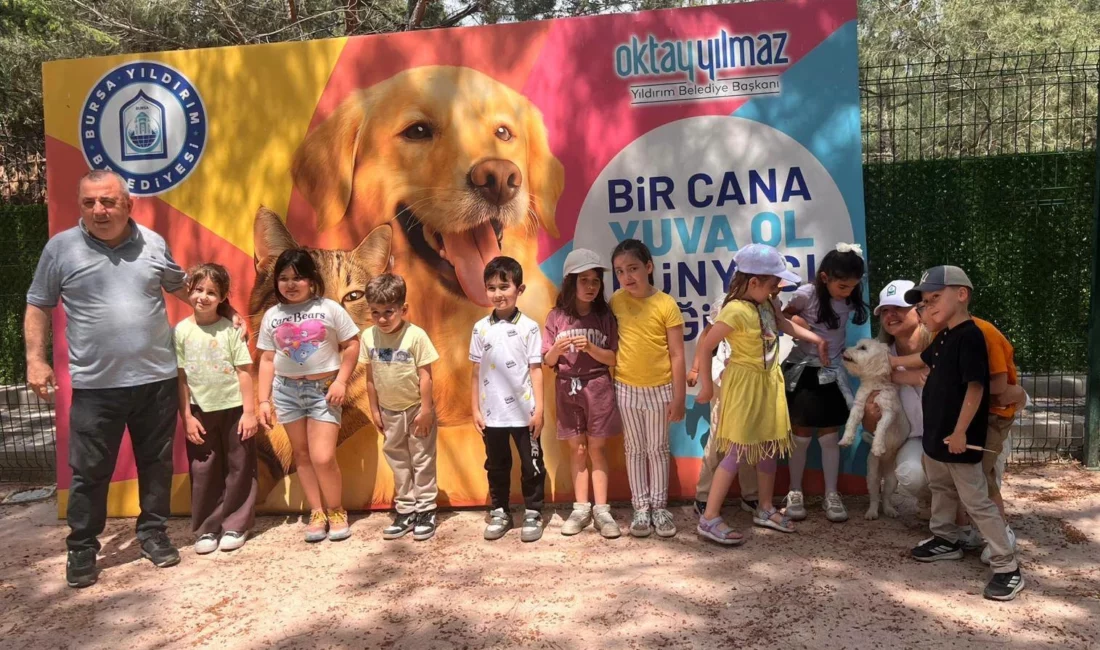 Bursa'da Yıldırım Belediyesi Sahipsiz Sokak Hayvanları Tedavi Merkezi ve Doğal