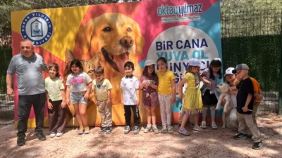Bursa'da Yıldırım Belediyesi Sahipsiz Sokak Hayvanları Tedavi Merkezi ve Doğal